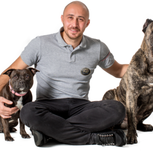 Entrainement personnel avec le fondateur du Groupe dream dog