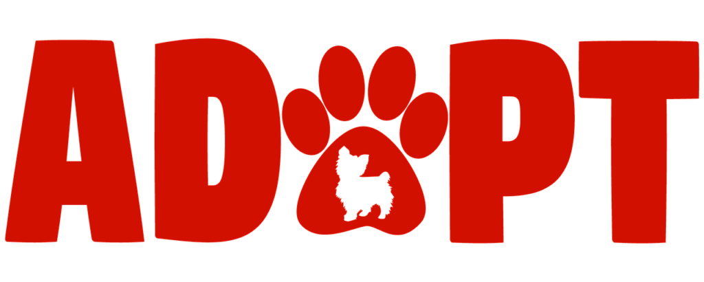 Adopter un chien à la SPA