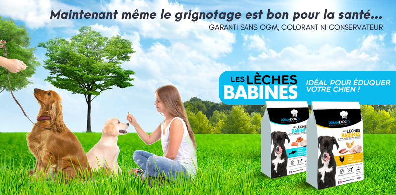 Friandises santé chien