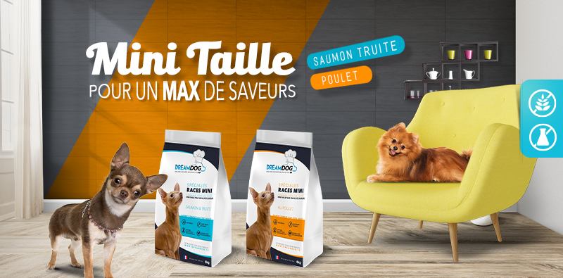 Croquettes Mini