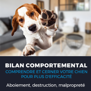 Bilan comportemental Genève