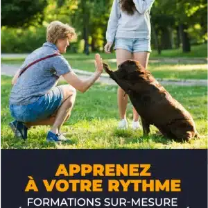 Apprenez à votre rythme Basic