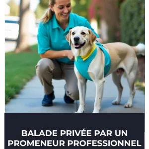 Balades privées dans votre quartier avec un promeneur professionnel 🐕