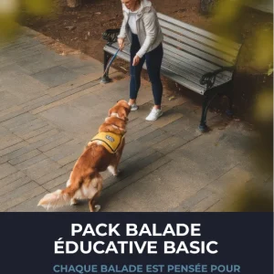 Pack 10 Balades Basic  : un programme complet pour un chien obéissant et heureux ! 🐾🎓