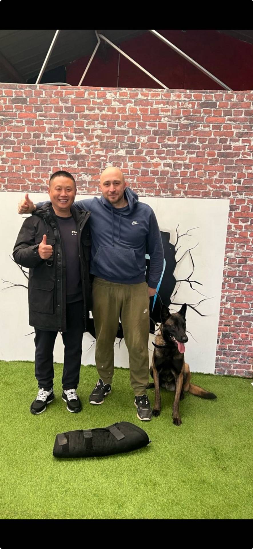 Client Dream Dog